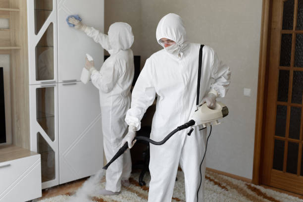 Best Post-Flood Mold Remediation in Mcguire Af, NJ